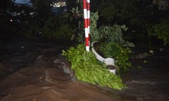 Đắk Lắk mưa lớn, đường phố biến thành sông 