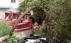 Đi thắp hương, phát hiện xác chết trong khu lăng mộ