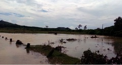 Tìm thấy nạn nhân cuối cùng bị nước lũ cuốn trôi