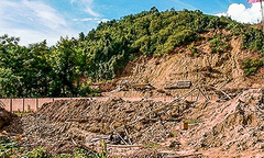 Vàng tặc phá sân trường, hiệu trưởng bị kỷ luật