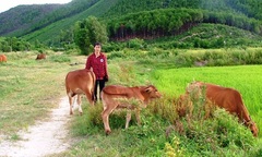 Cô bé bị suy thận từ chối tuyển thẳng đại học