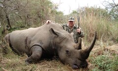Hơn 730 cá thể tê giác bị giết hại tại Nam Phi