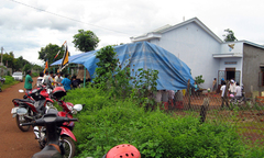 Một người tử vong vì bị ong mật tấn công