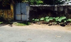 Nghệ nhân ẩm thực hàng đầu Hải Phòng bị giết hại dã man