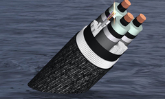 Đứt cáp quang biển, Internet Việt Nam chập chờn