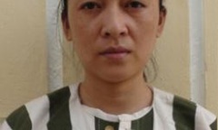 Chiếm đoạt tài sản, vợ chồng cán bộ Cục thuế lãnh 29 năm tù