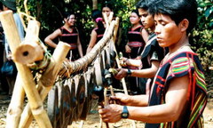 Những hình phạt  "gian phu, dâm phụ " chỉ có ở Việt Nam