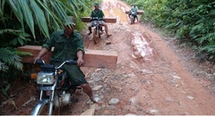 Ngang nhiên vận chuyển gỗ lậu bằng xe máy ở Quảng Nam