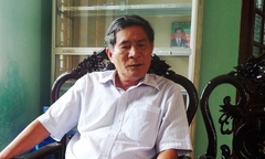 Cây phượng 40 năm tuổi bật gốc, 6 học sinh nhập viện