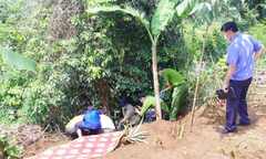 Kinh hoàng phát hiện xác người đang phân hủy bên bờ suối