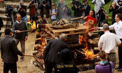 Công khai tiêu hủy 50kg sừng tê giác tại Châu Âu