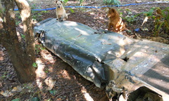 Phát hiện xác máy bay nghi của quân đội Mỹ tại Gia Lai