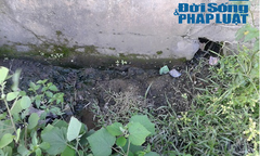 Dân kêu cứu vì ô nhiễm từ hai lò luyện thép  