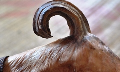 Cụ bà 97 tuổi và chiếc sừng dài 20cm giữa đầu gối