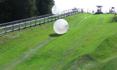 9 cái chết oái oăm liên quan đến thể thao