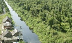 Phát hiện nhiều động vật hoang dã quý hiếm ở rừng U Minh Hạ