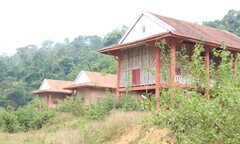  "Biệt thự " tiền tỷ phơi sương giữa đại ngàn