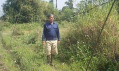 Hiểm họa khôn lường từ những đường dây điện mất an toàn