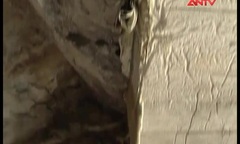 Cái chết chực chờ các phu vàng