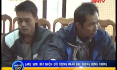 Công nhân bỏ làm, leo lên rừng thông đánh bạc