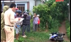 Tin tức giao thông ngày 15/10