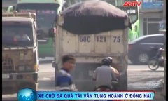 Tin tức giao thông ngày 3/10