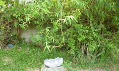 Clip: Hòn đá  "thần " chữa bệnh tưa lưỡi cho trẻ, sưng ngực phụ nữ