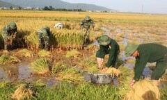 BĐBP Hà Tĩnh được đề nghị tặng Cờ thi đua Chính phủ 