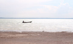 Cá sấu dài 1,2m sổng chuồng xuất hiện ở hồ Trị An