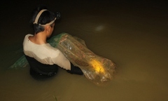 Kiếm vài triệu đồng một đêm nhờ bắt rươi