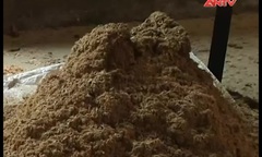 Phát hiện cơ sở “nhồi” phân hóa học vào thức ăn gia súc