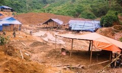 “Vàng tặc” bất chấp tính mạng lập trại khai thác trái phép