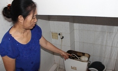 Người Hà Nội hơn 10 năm “dài cổ” chờ nước sạch