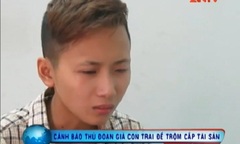 Thiếu nữ giả trai xin ở ghép với thanh niên trẻ tuổi để trộm cắp