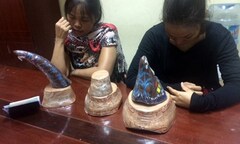 Bắt giữ thêm vụ vận chuyển 7kg sừng tê giác ở sân bay Nội Bài