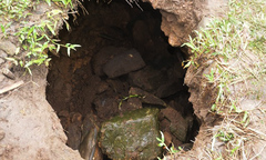 Đất sụt lún bất thường, di dời khẩn cấp 14 hộ dân