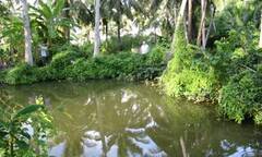 Tích cực tìm kiếm cháu bé 3 tuổi mất tích bất thường