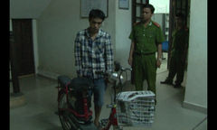 Bắt kẻ bịt mặt đột nhập nhà dân trộm xe đạp điện