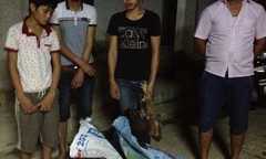 Nhóm “đạo chích” liều lĩnh trộm gà ở đồn biên phòng