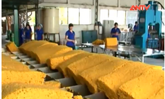 Xử lý sai phạm tại Tập đoàn công nghiệp cao su Việt Nam