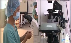 Bệnh viện TW Huế tích cực chuẩn bị kỹ thuật mang thai hộ