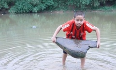 Lạ kỳ khúc gỗ  "bơi " ngược dòng sông Tích suốt 550 năm