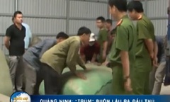 Clip: Trùm buôn lậu ở TP. Móng Cái đầu thú