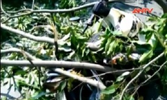 Clip: 1 người bị thương nặng vì bị cây xanh rơi trúng đầu