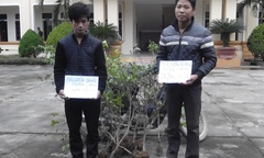 Hai anh em rủ nhau phá hoại, trộm cắp tài sản