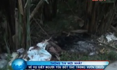 Clip: Tin mới nhất về vụ giết người, đốt xác trong bụi chuối