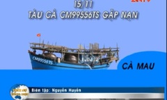 Clip: Cứu nguy tàu cá chở 7 thuyền viên trôi dạt trên biển