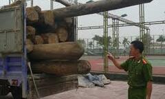 Video: Bắt xe chở số lượng gỗ lớn không có giấy tờ