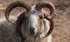 10 điều thú vị về tự nhiên bạn có thể chưa biết