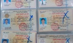 Phát hiện và tịch thu nhiều trường hợp sử dụng GPLX giả